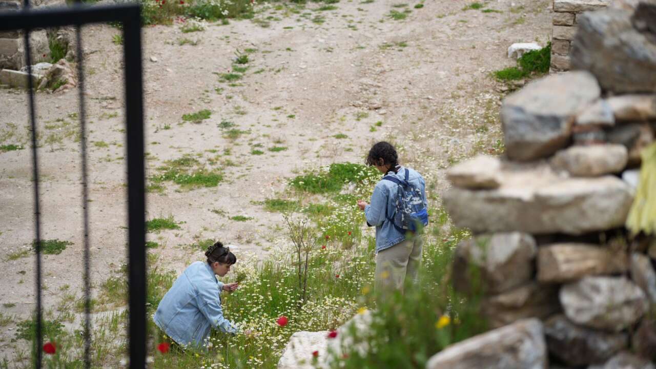 Muğla Stratonikeia Antik Tiyatrosu’nda 7 Bin Kişilik Bölüm Yaz Sezonuna Hazırlanıyor 8